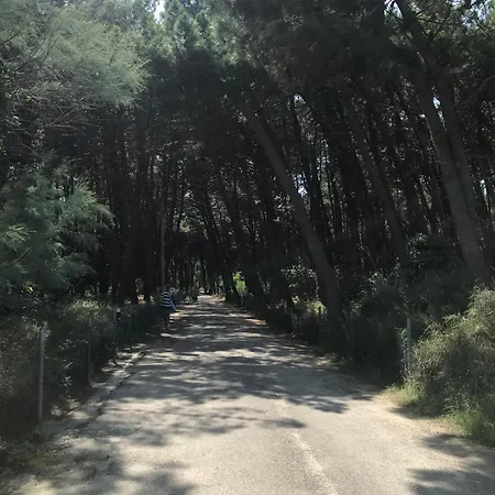 Casa Azzurra Marina Romea